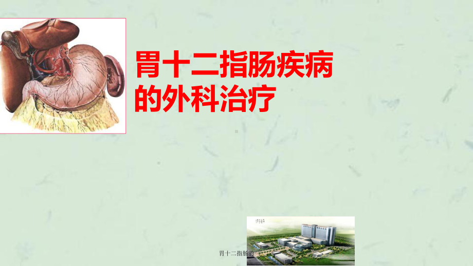 胃十二指肠的课件.ppt_第1页