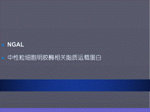 中性粒细胞明胶酶相关脂质运载蛋白NGAL临床应用课件.ppt