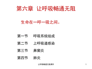 让呼吸畅通无阻课件.ppt