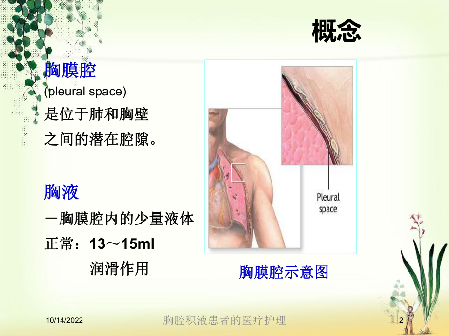 胸腔积液患者的医疗护理培训课件.ppt_第2页