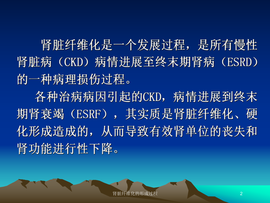 肾脏纤维化的形成过程培训课件.ppt_第2页