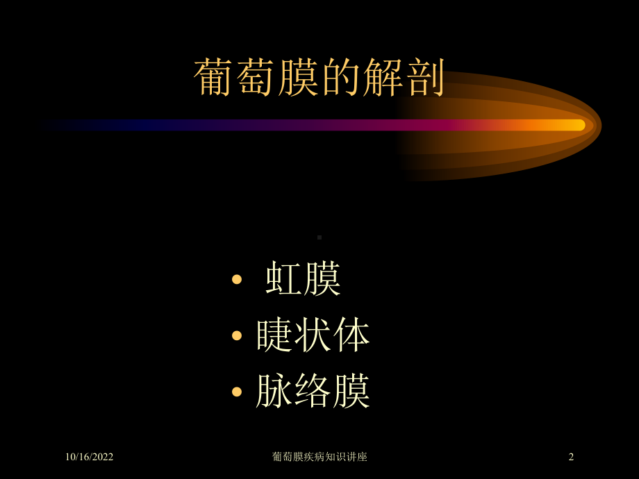 葡萄膜疾病知识讲座培训课件.ppt_第2页