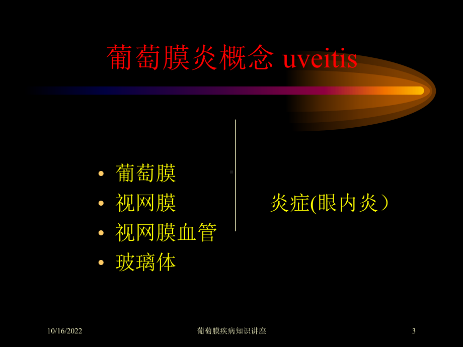 葡萄膜疾病知识讲座培训课件.ppt_第3页