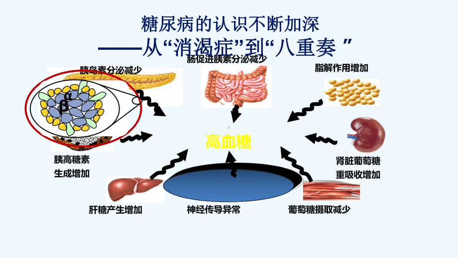 非内分泌患者的血糖管理课件.ppt_第3页