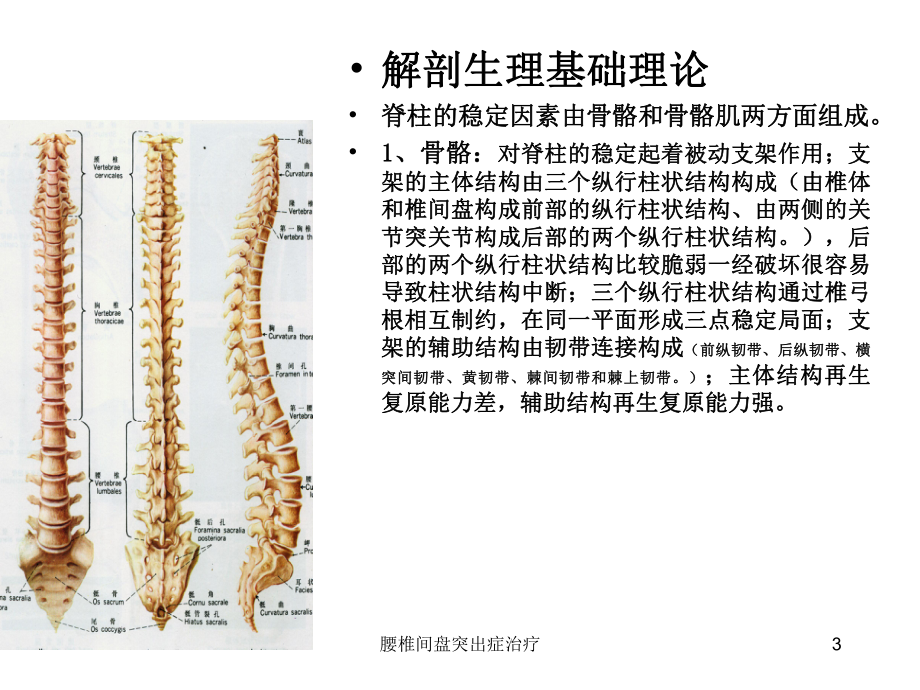 腰椎间盘突出症治疗课件.ppt_第3页