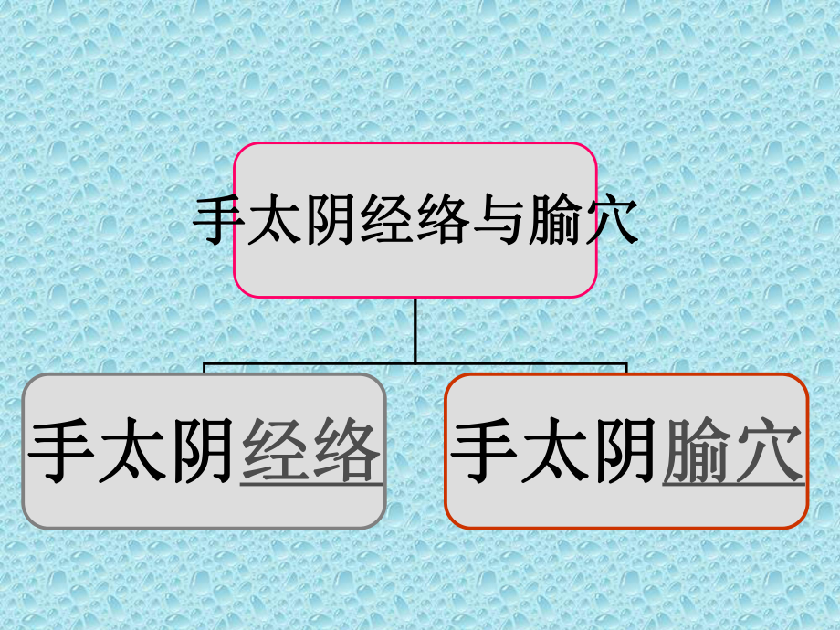 手太阴肺经课件.ppt_第3页