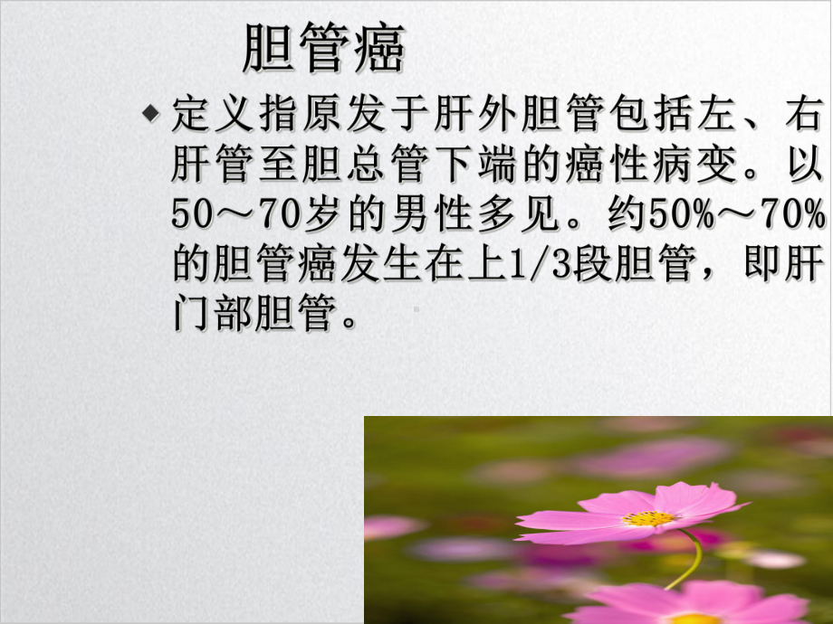 胆管癌护理查房课件-2.ppt_第2页