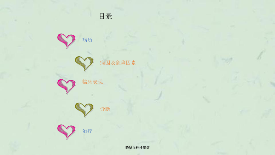 静脉血栓栓塞症课件.ppt_第2页