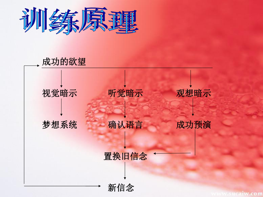 成功之心灵财富训练重点课件.ppt_第2页