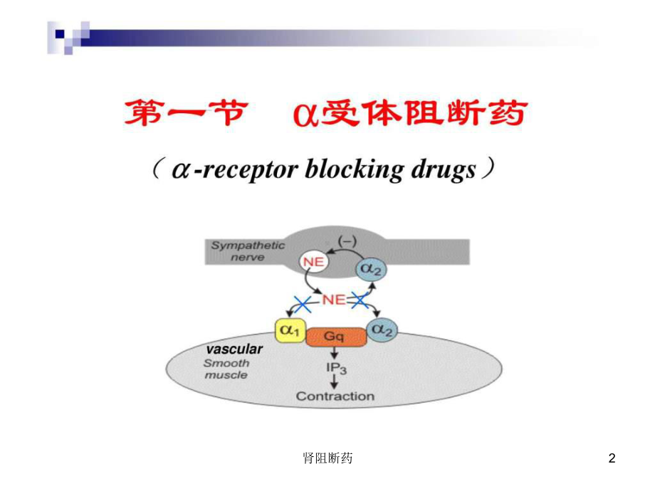 肾阻断药课件.ppt_第2页