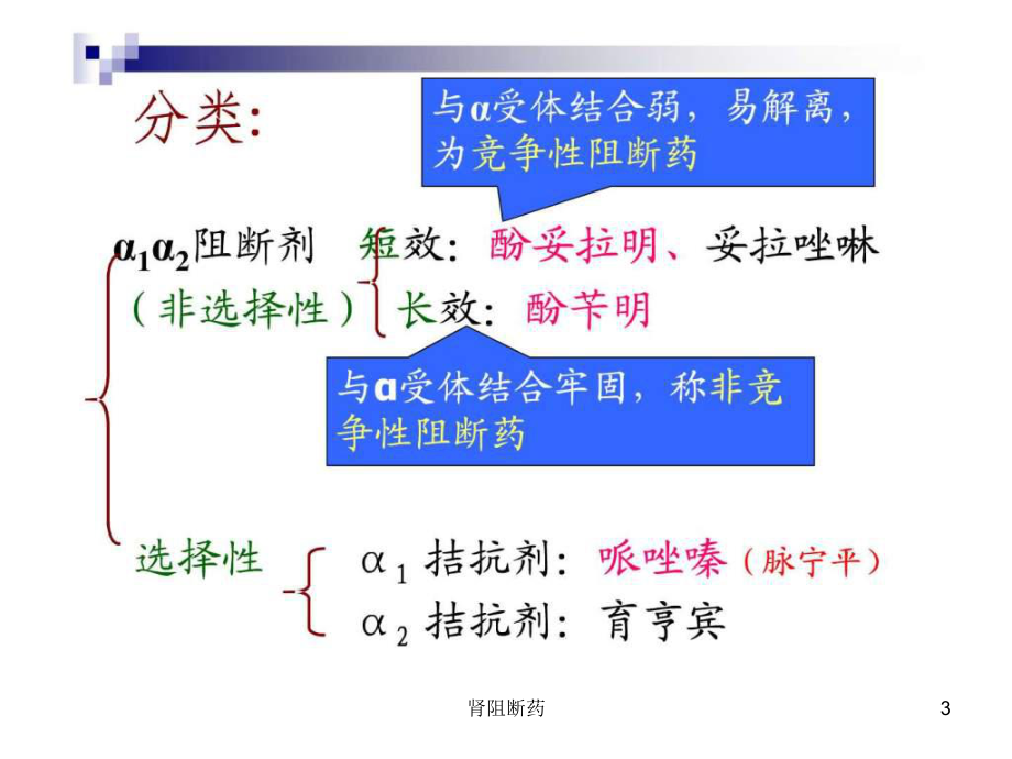 肾阻断药课件.ppt_第3页