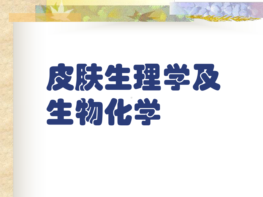 皮肤生理学及生物化学课件.ppt_第1页