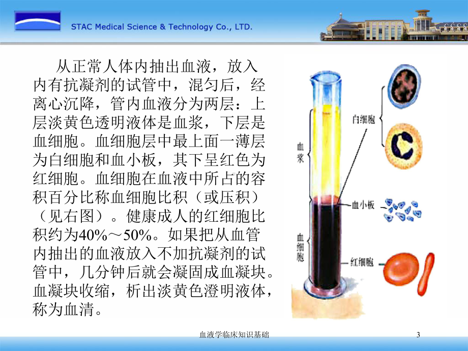 血液学临床知识基础培训课件.ppt_第3页