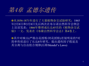 孟德尔遗传课件.ppt