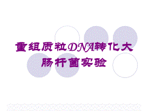 重组质粒DNA转化大肠杆菌实验培训课件.ppt