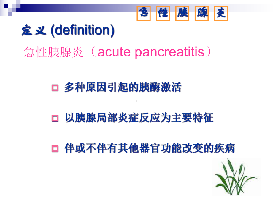 胰腺炎护理查房5课件.pptx_第3页