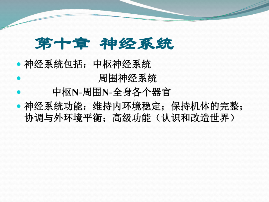 生理学基础第十章-神经系统课件.ppt_第1页