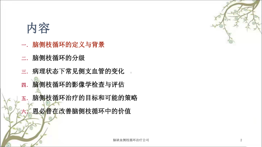 脑缺血侧枝循环治疗公司课件.ppt_第2页