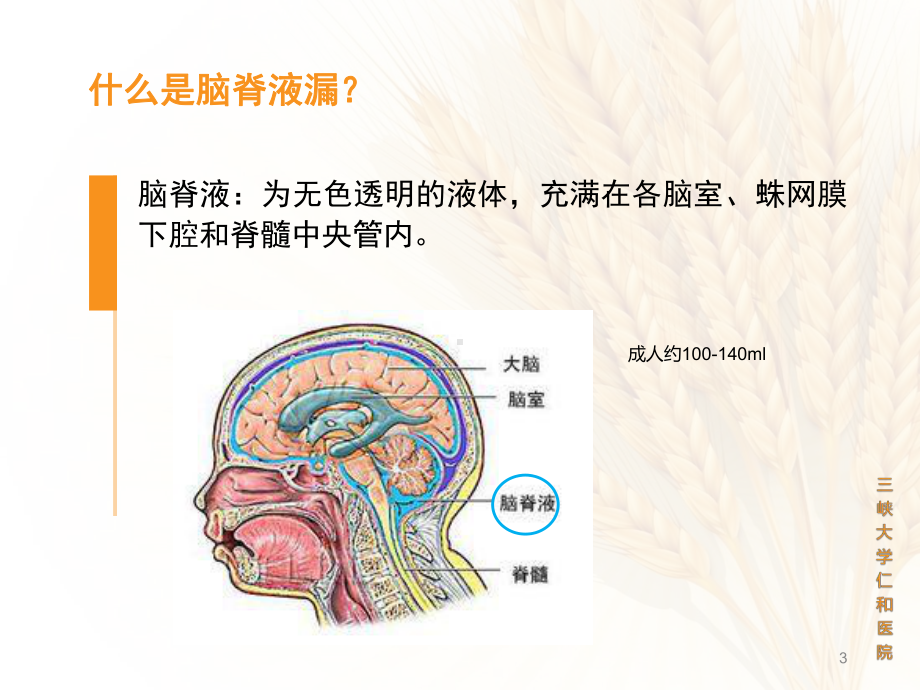 脑脊液漏的护理医学课件.pptx_第3页