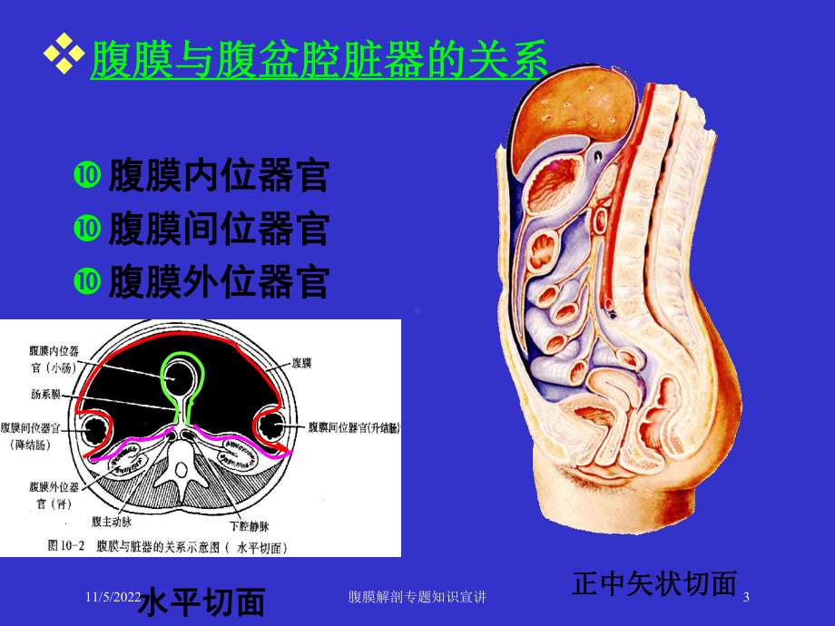 腹膜解剖专题知识宣讲培训课件.ppt_第3页