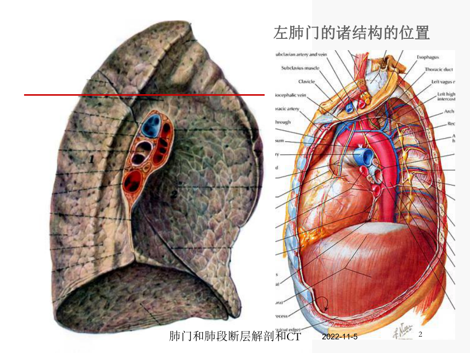 肺门和肺段断层解剖和CT培训课件.ppt_第2页