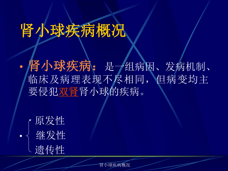 肾小球疾病概况课件.ppt_第2页