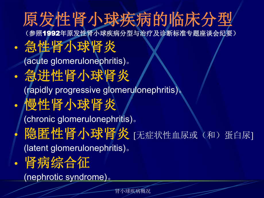 肾小球疾病概况课件.ppt_第3页