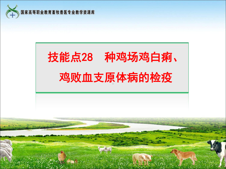 技能点28种鸡场鸡白痢、鸡败血支原体病的检疫课件.ppt_第1页