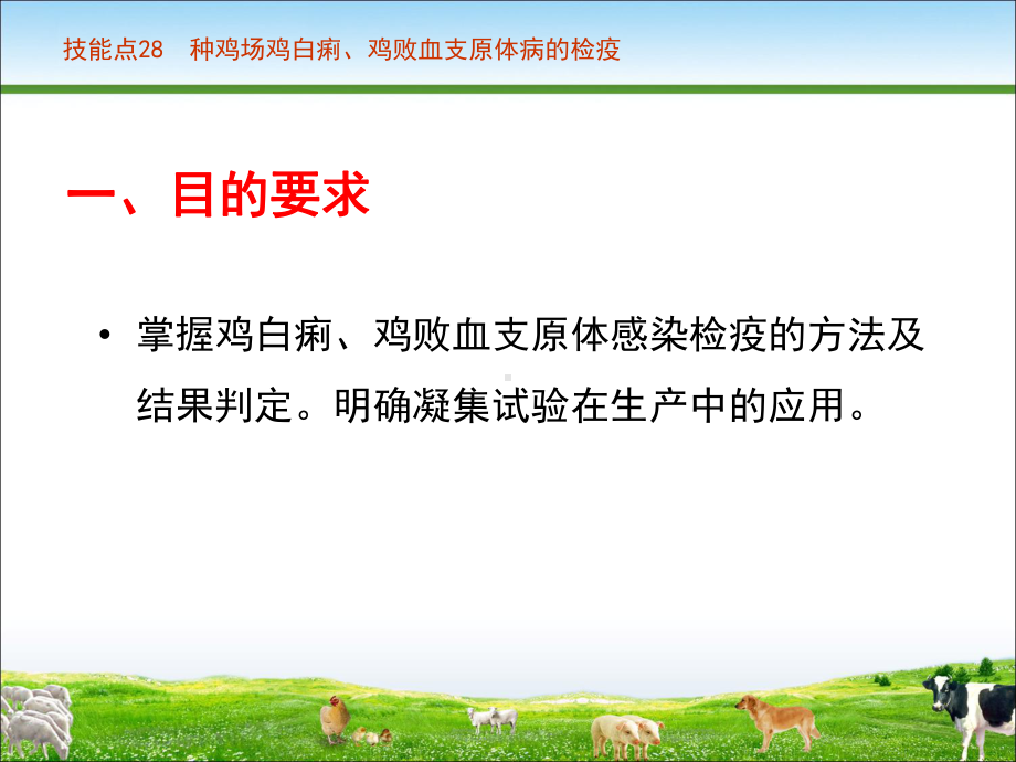 技能点28种鸡场鸡白痢、鸡败血支原体病的检疫课件.ppt_第3页