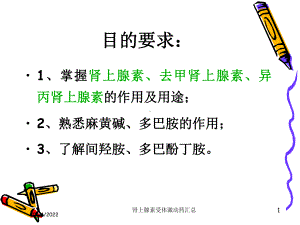 肾上腺素受体激动药汇总培训课件.ppt