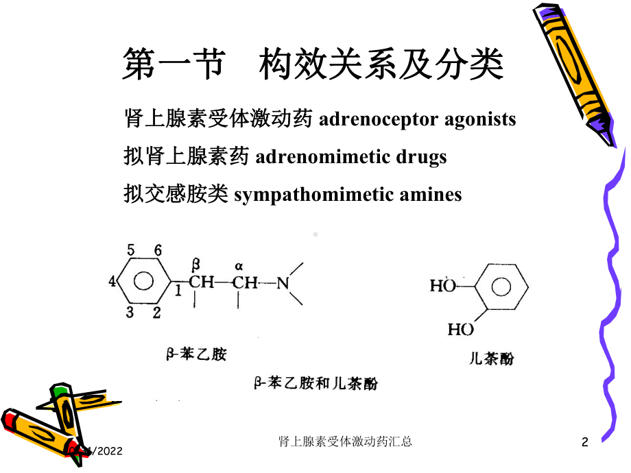 肾上腺素受体激动药汇总培训课件.ppt_第2页