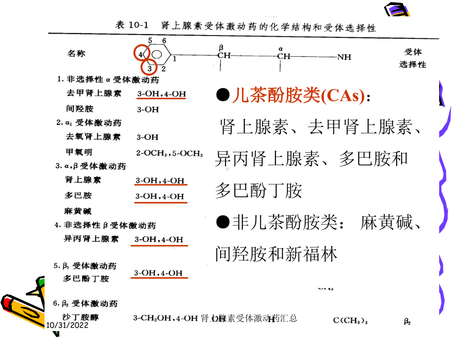 肾上腺素受体激动药汇总培训课件.ppt_第3页