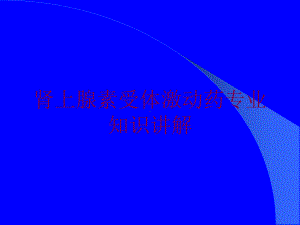 肾上腺素受体激动药专业知识讲解培训课件.ppt