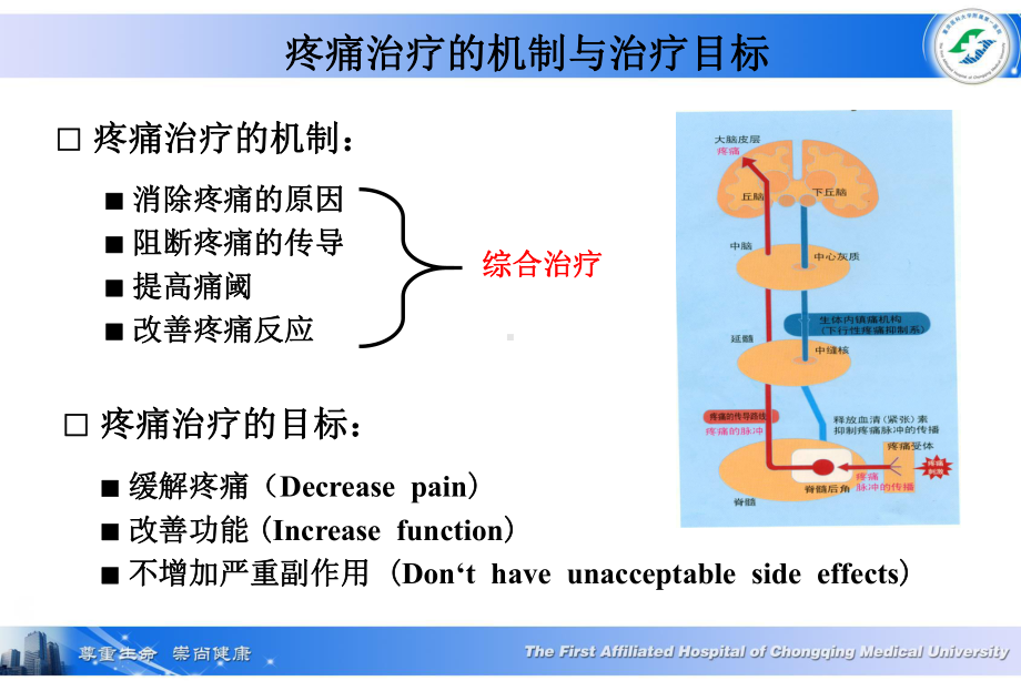 疼痛的物理治疗课件.ppt_第2页