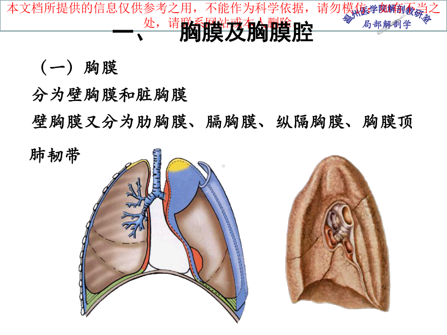 胸腔医学知识宣讲培训课件.ppt_第1页