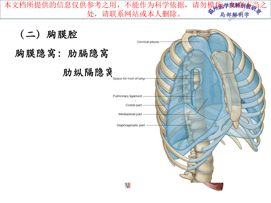 胸腔医学知识宣讲培训课件.ppt_第2页