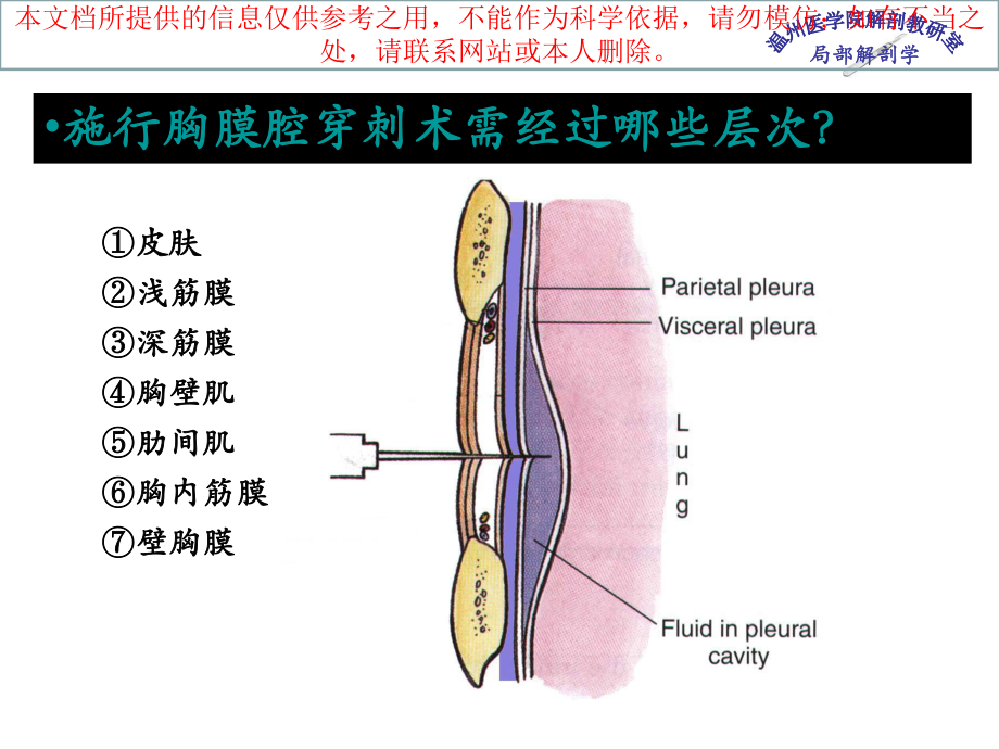 胸腔医学知识宣讲培训课件.ppt_第3页