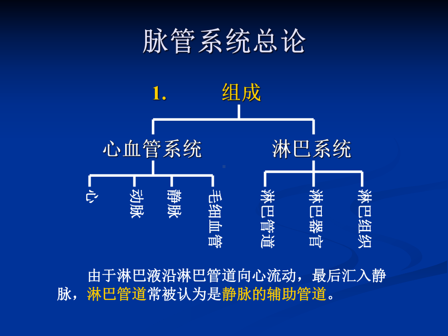 脉管系统-心课件.ppt_第3页