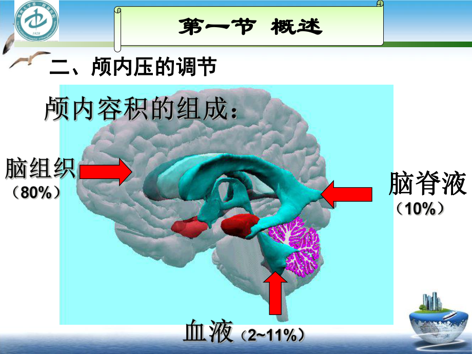 重症班IIP与急性脑疝培训课程课件.ppt_第3页