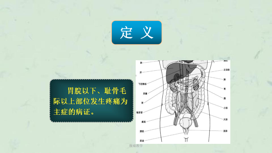 腹痛教学课件.ppt_第3页