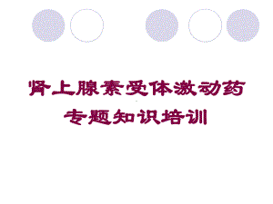 肾上腺素受体激动药专题知识培训培训课件.ppt