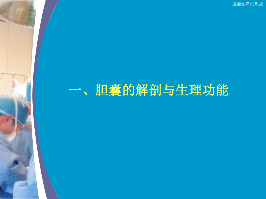 胆囊结石的形成课件.ppt_第2页