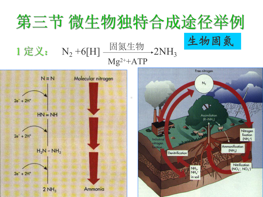 微生物的生长与控制-课件.ppt_第1页