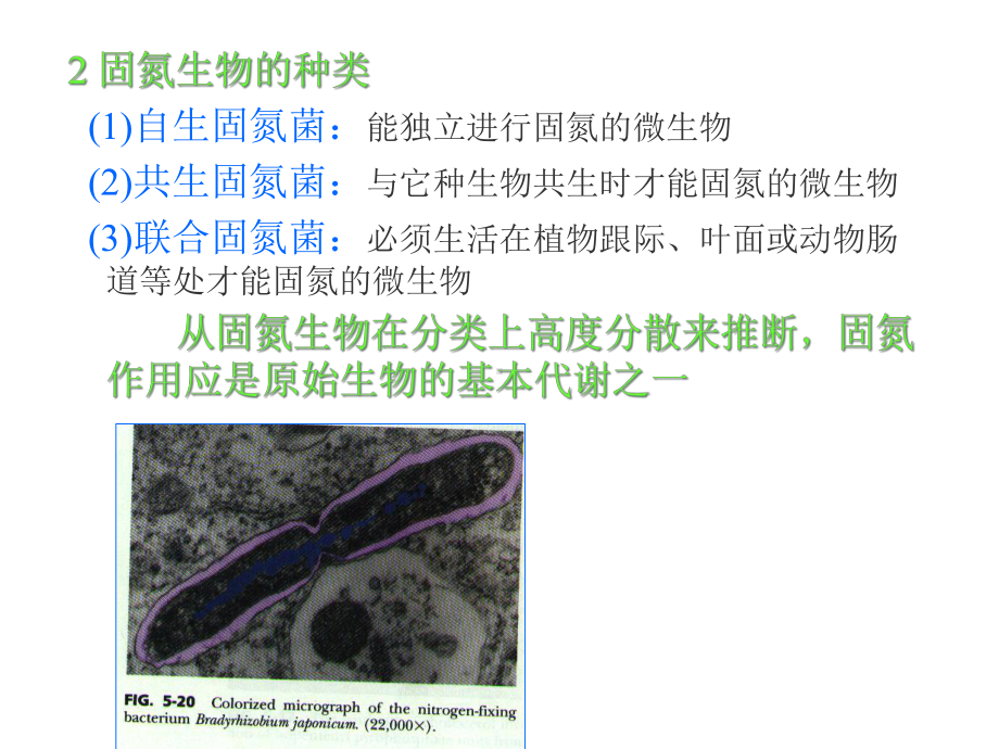 微生物的生长与控制-课件.ppt_第2页