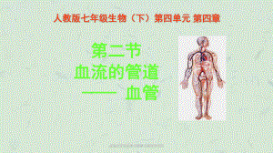 血流的管道血管动静脉毛细血管流动课件.ppt