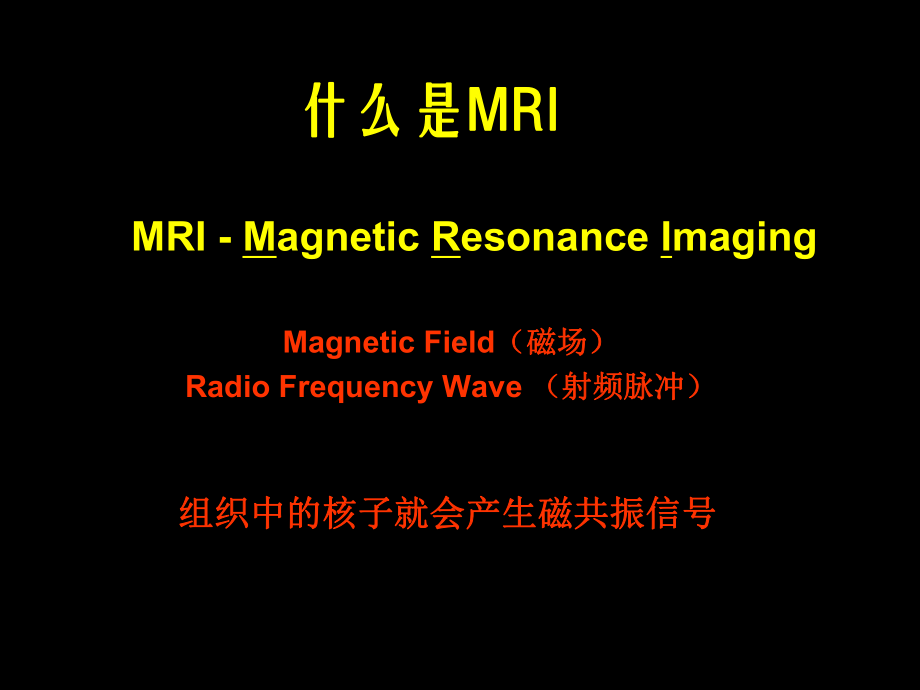 核磁共振02T临床应用课件.ppt_第2页