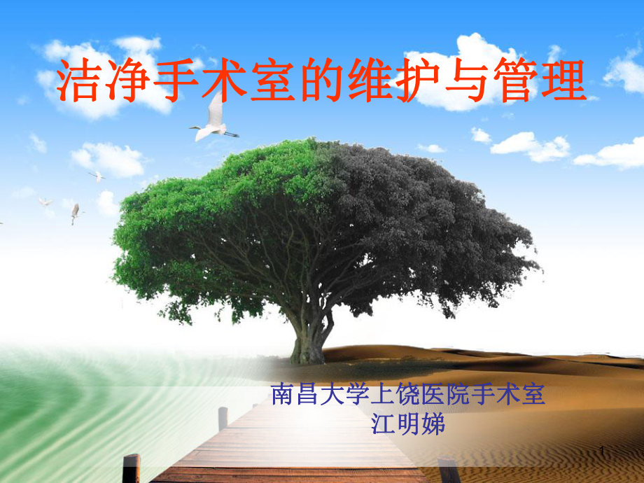 层流教学课件.ppt_第1页