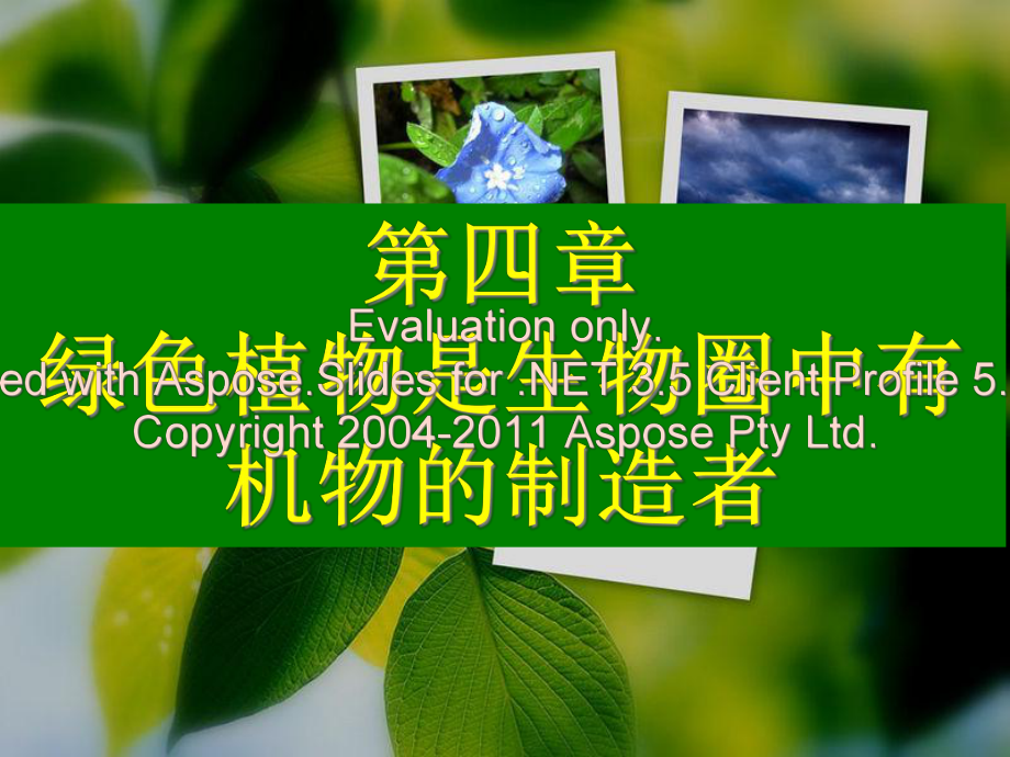 绿色植物通过光合作用制造有机物课件.ppt_第1页