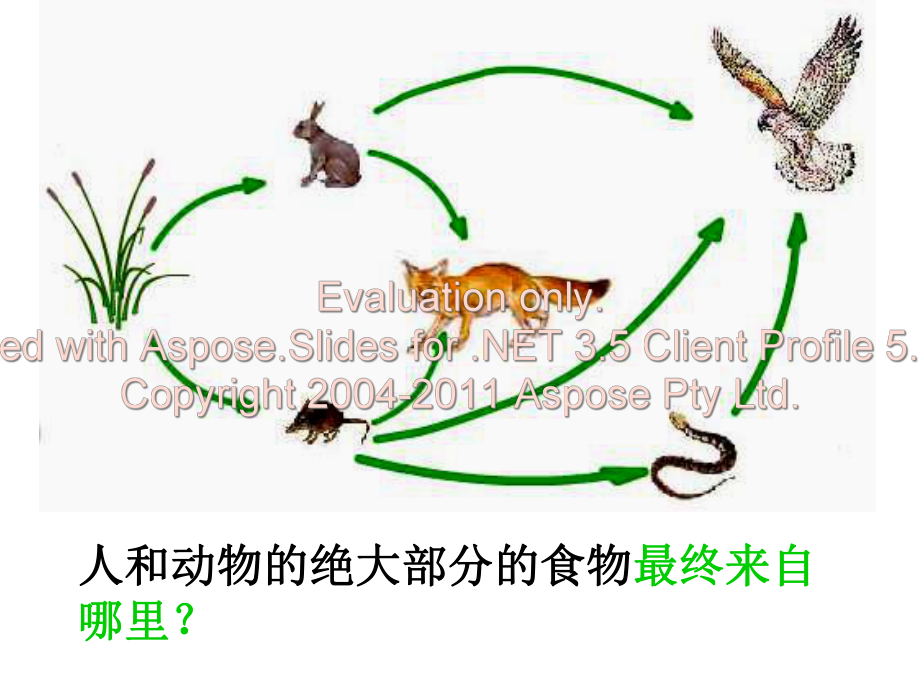 绿色植物通过光合作用制造有机物课件.ppt_第3页