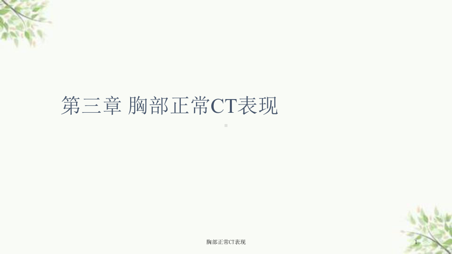 胸部正常CT表现课件.ppt_第1页